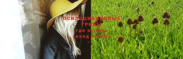 не бодяженный Балахна
