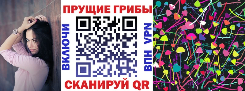 mega tor  Северо-Курильск  Псилоцибиновые грибы Psilocybine cubensis 